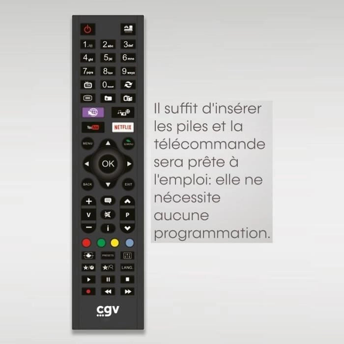 Telecomando sostitutivo - Condizioni Generali - FIDELIO Philips - Per televisori Philips - Senza programmazione - Pronto all'uso