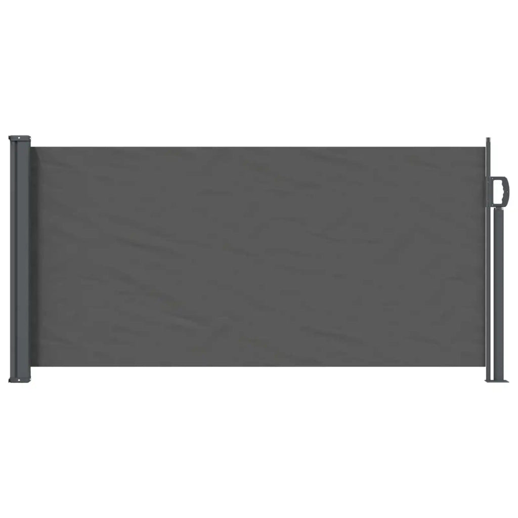 Tenda laterale retrattile Antracite 300 x 100 cm Poliestere