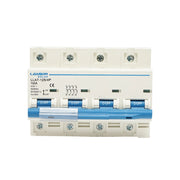 Interruttore automatico tipo 4P-100A-415VAC Leader