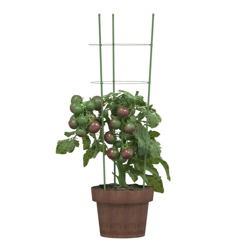 Supporti Piante da Giardino con 3 Anelli 5 pz Verde 60cm Acciaio CFW6454335