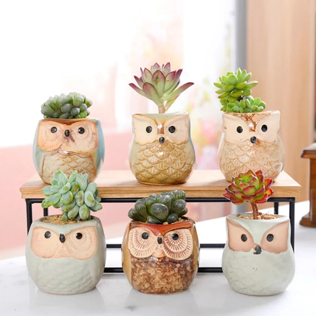 Set 6 Pezzi Vasi In Ceramica Fiori Piante Grasse Gufi Con Sotto Vaso In Bambù Foro Centrale Cactus Decorazione Interno Esterno Casa Vasetto Con Foro Scarico Fioriera Contenitore - 1Gufetti
