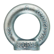 GOLFARI MASCHI DIN 580 MA 16 ZINCATI- 10,0 pz