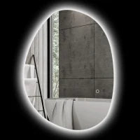 Specchio da Bagno Illuminato a LED con Colore e Temperatura Regolabile, in Vetro Temperato, 70x5x50 cm, Argento