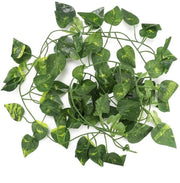 Pianta artificiale per viti 6,89m - Pianta climatica flessibile - Decorazione per rettili - Realistica e duratura - Aspetto naturale - Decorazione per terrario