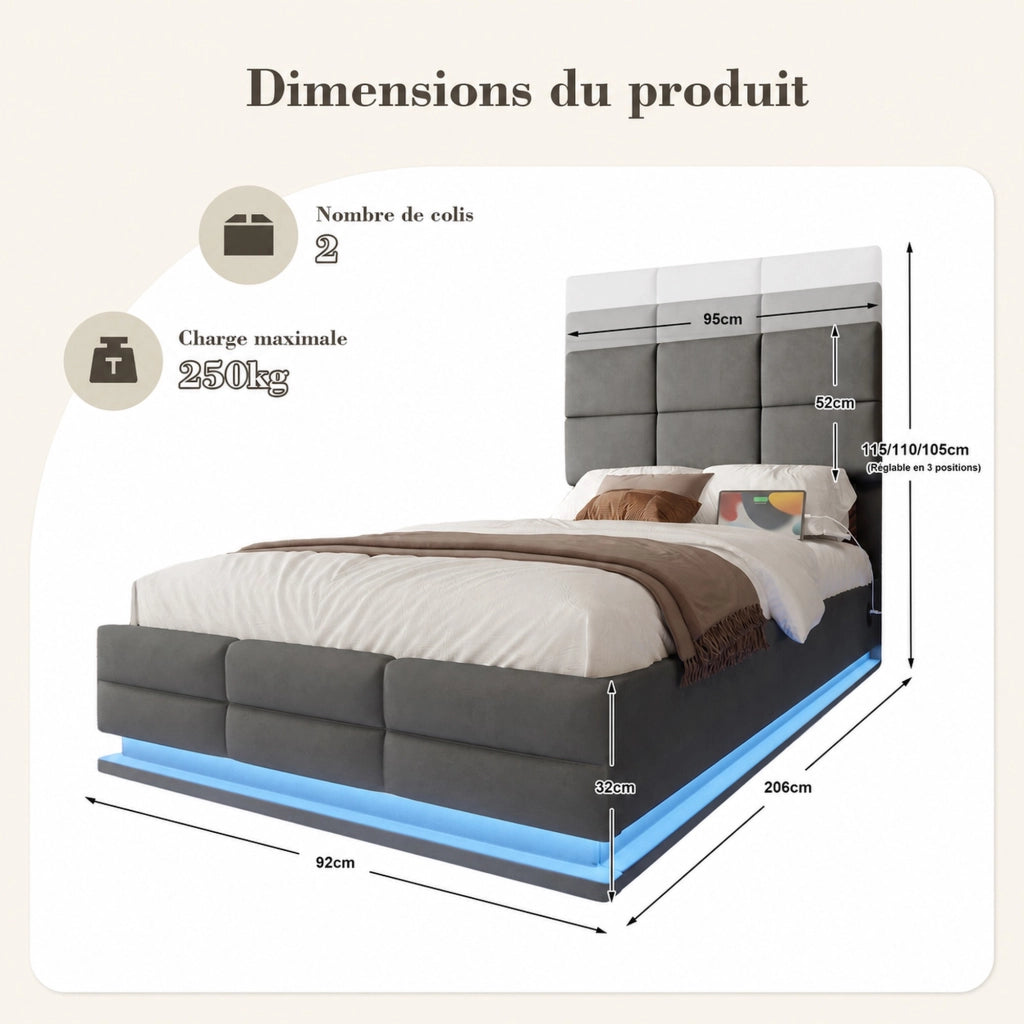 DESMIU Lit Coffre 90 × 200 cm 1 piazza con USB, LED regolabile e testiera regolabile, senza materasso, velluto grigio scuro