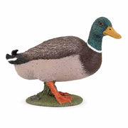 Papo - Mallard duck