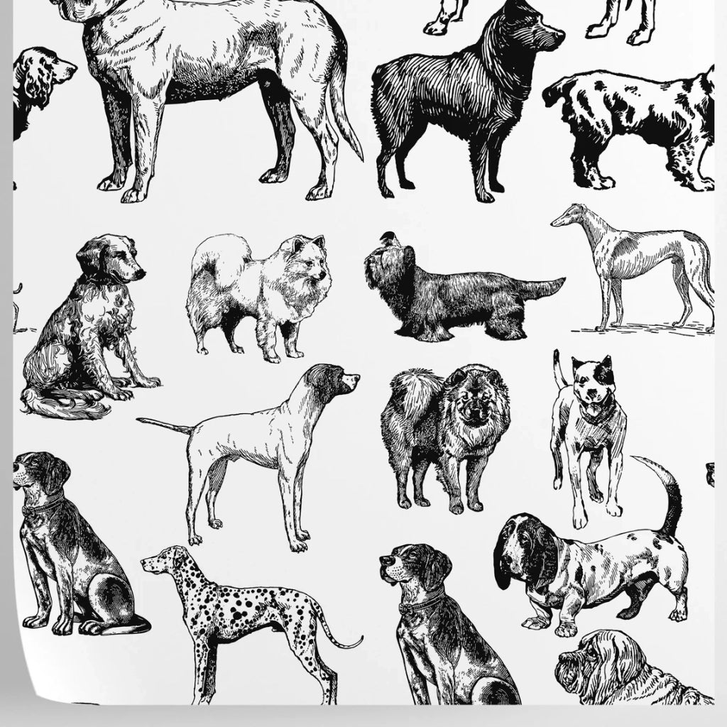 Carta da Parati Cani Bianchi e Neri Carta Vegana 250x200cm 5,5mq 
