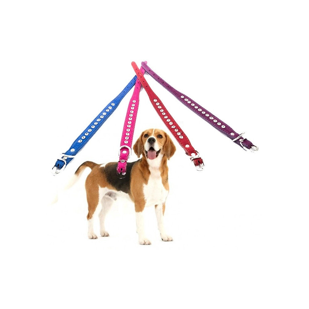 Trade Shop - Collare Per Cane Cani Con Strass E Brillantini Brillantinato Taglia Piccola -