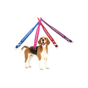 Trade Shop - Collare Per Cane Cani Con Strass E Brillantini Brillantinato Taglia Piccola -