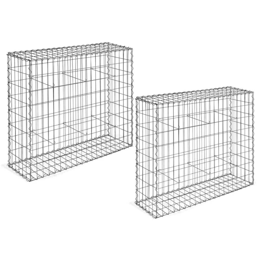 IDMarket - Set di 2 gabbioni in pietra 100 x 30 x 80 cm