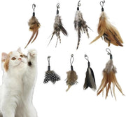 8 pezzi di sostituzione per giocattoli per gatti - Regalo sicuro e ecocompatibile per gli amanti dei gatti