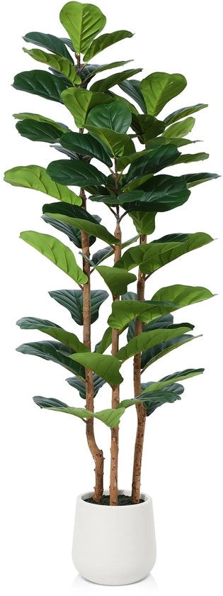Ficus Fiddle Boom 150cm Kunstplanten Grosse, Pianta Finta con Vaso Bianco per Decorazione di Casa, Decorazione di Camera, Decorazione di Soggiorno (1 Pacchetto)