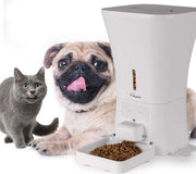 Cibo per animali domestici, Scatole di cibo per cani e gatti