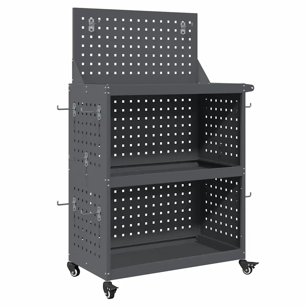 Carrello per Attrezzi con ruota Antracite 65 x 35 x 111 cm CFW8420596