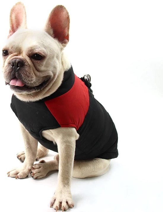 Abbigliamento per Cani Impermeabile - Giacca per Cani - Giacca Calda per Inverno - Giacca per Cani Piccoli - D-ring - Poliestere/Coton
