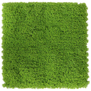 C SIEPE ARTIFICIALE PANNELLO 100X100CM GREEN- 2,0 pz