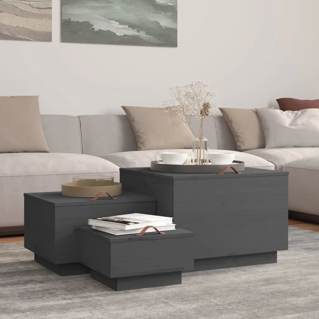Contenitori Portaoggetti Coperchi 3pz Grigi Legno Massello Pino