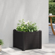 Letto Rialzato da Giardino in PP Antracite 43x43x35 cm