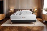 Pacchetto letto completo - Materasso 140x190cm + Box spring con doghe (kit) + 2 cuscini + Piumino - Windsor