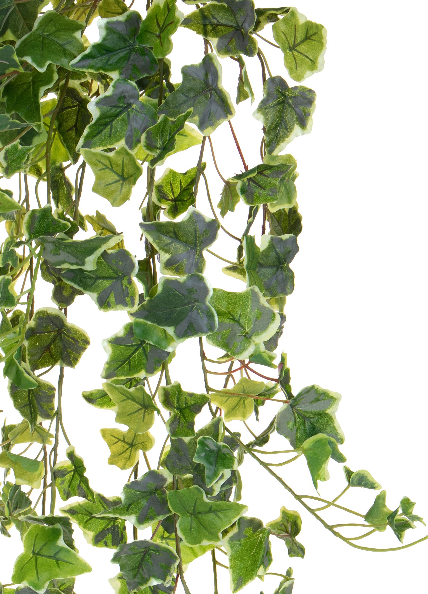 Foglie Artificiali Edera Rampicante Real Touch 175 cm