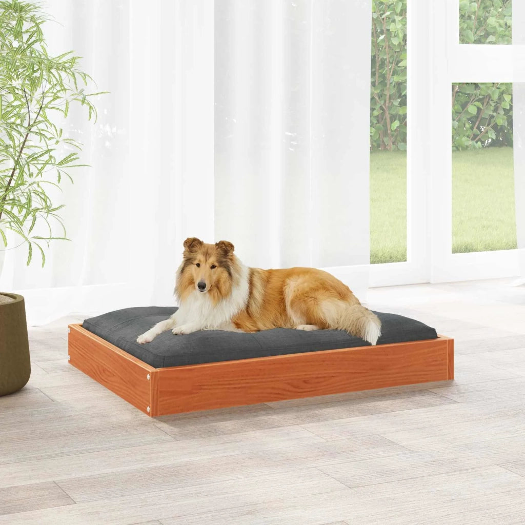 Letto per Cani Marrone cerato 101,5 x 74 x 9 cm CFW5500425