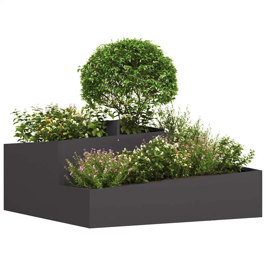 Fioriere | Cassetta per fiori | Vaso da giardino Nero 100 x 100 x 50 cm