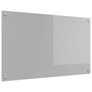 Paraschizzi moderno per cucina 100 x 60 cm in vetro temperato grigio chiaro resistente e facile da pulire 02_0058446