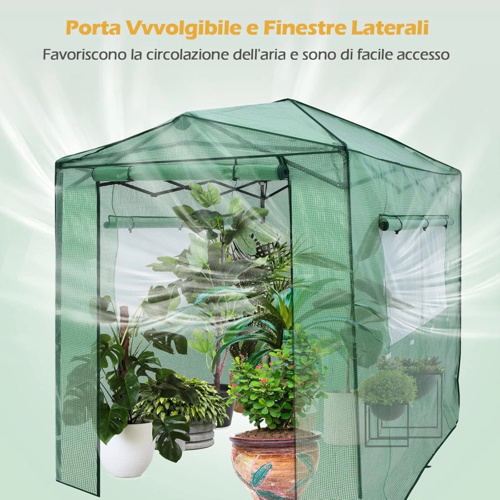 Serra per da Giardino 180 x 250 x 230 cm, Serra per Orto e Piante con Telaio Robusto, 2 Finestre Grandi e 2 Porte Arrotolabili con Doppia Cerniera, Serra da Eterno Pieghevole