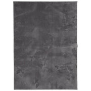 Tappeto del soggiorno | Tappeto Pelo Corto HUARTE Morbido Lavabile Antracite 140x200 cm