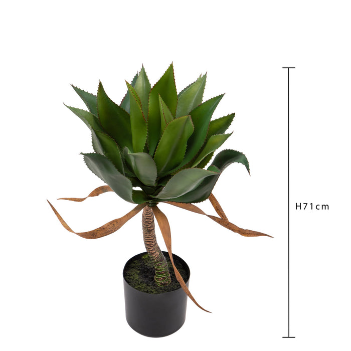 Pianta Artificiale Agave H71 cm con Vaso