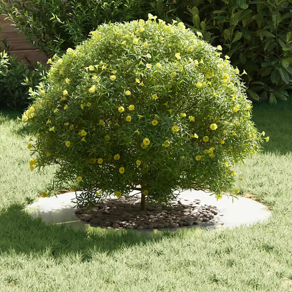 adatto per Anelli d'Albero Piatto 5 pz Argento ?40 / 70 cm CFW2638882