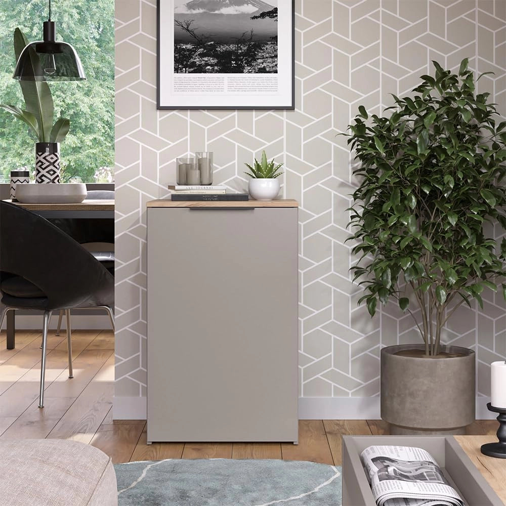 Credenza Wido, Grigio, 50 x 80 cm con ripiano, per la conservazione e l'organizzazione salvaspazio