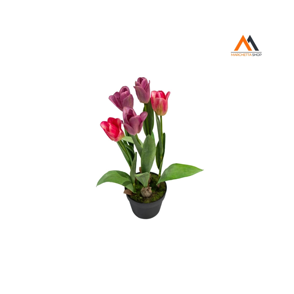 TULIPANO OLANDESE ROSA IN VASO H54CM