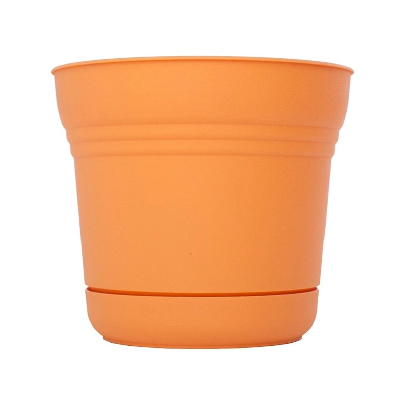 Bloem SP1020 - Vaso per fiori Saturn, 25,4 cm Colore: Tequila Sunrise
