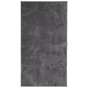 Tappeto del soggiorno | Tappeto a Pelo Corto HUARTE Morbido Lavabile Antracite 80x150cm