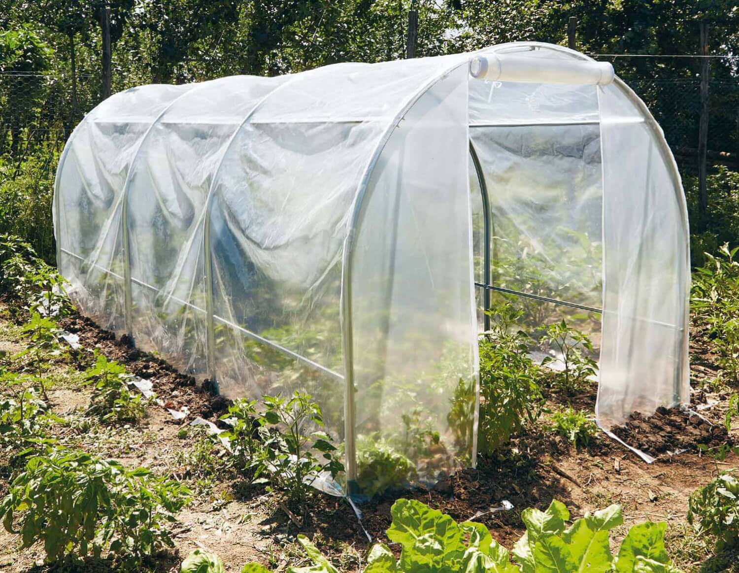 Serra da Giardino in Acciaio con Telo Rama Spring Maxi