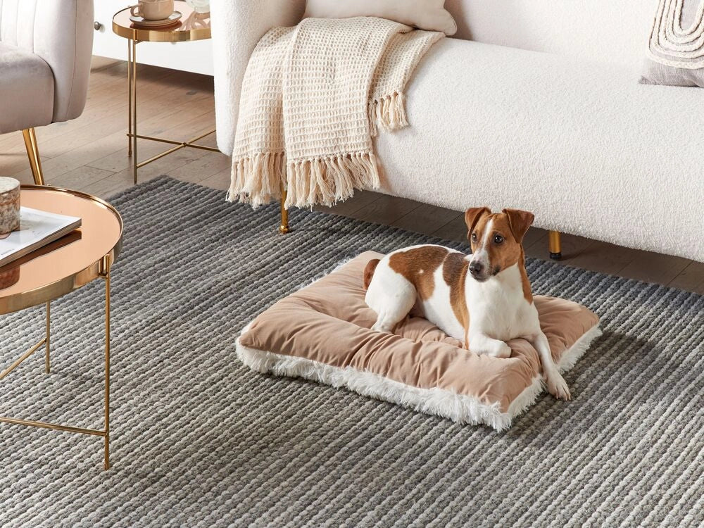 Cuccia animali letto per cani lettino gatti velluto beige con nappe 60 x 45 cm