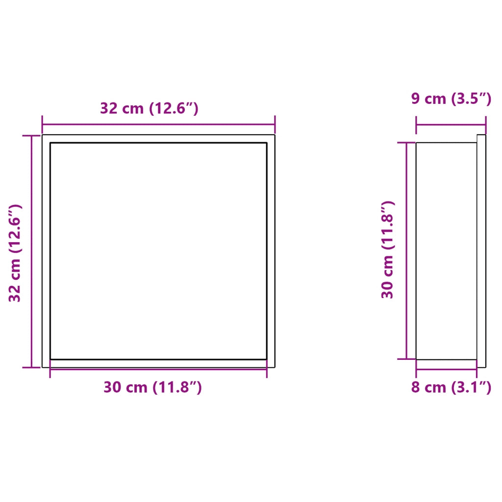 Nicchia per Doccia Argento Spazzolato 32x32x9cm in Acciaio Inox CFW7956099