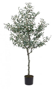 Pianta Artificiale Ulivo 984 Foglie H156 con Vaso Verde