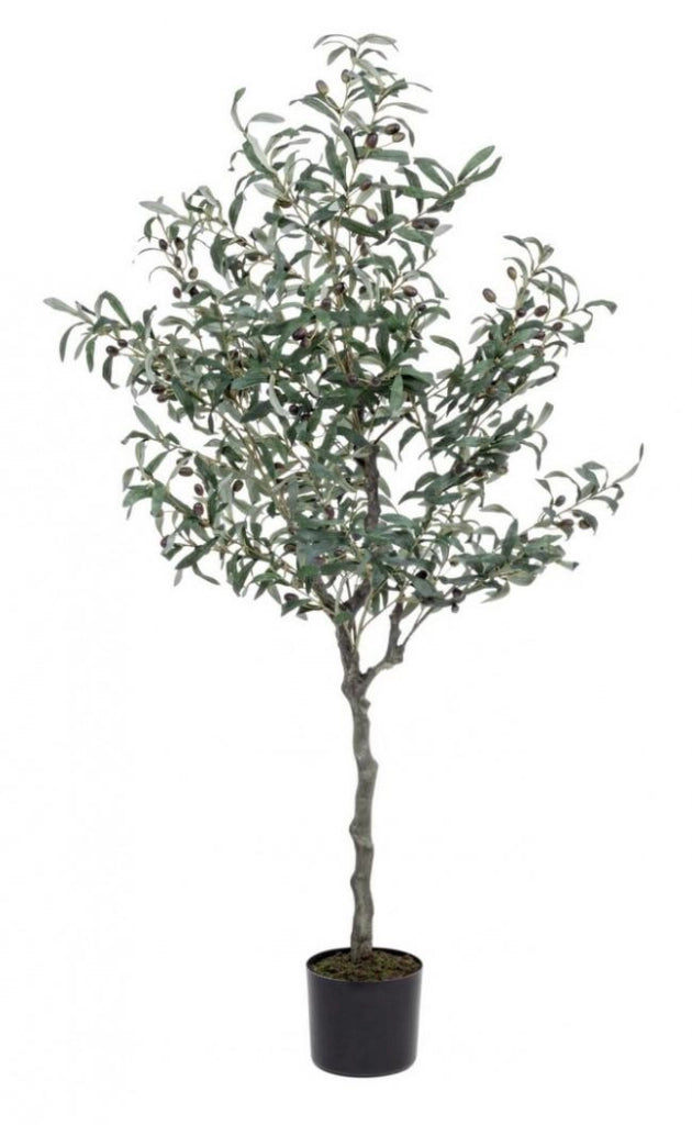 Pianta Artificiale Ulivo 984 Foglie H156 con Vaso Verde