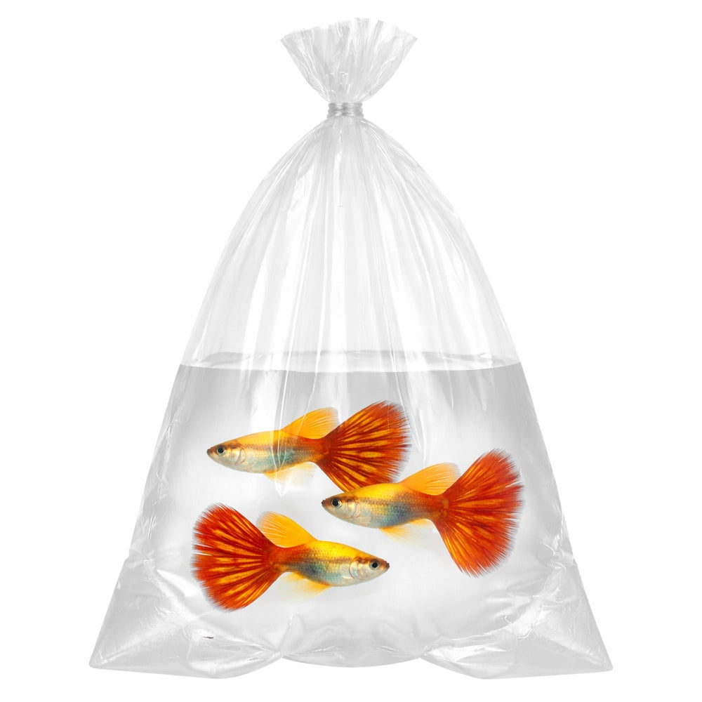 Busta per Trasporto Pesci 70um cm15x45 - 1 pezzo