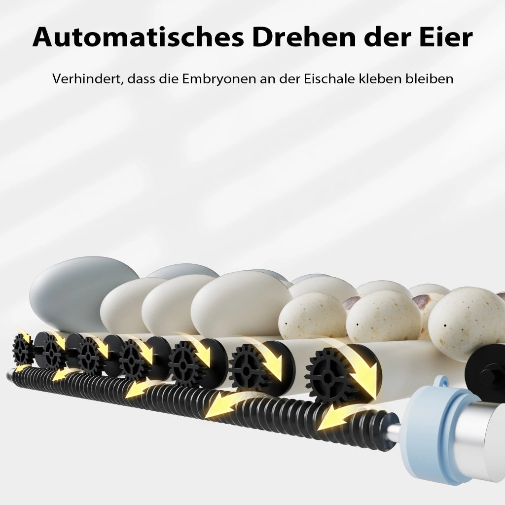 Fudajo Incubatrice di superficie completamente automatica 48 uova Covatrice polli, anatre, pulcini