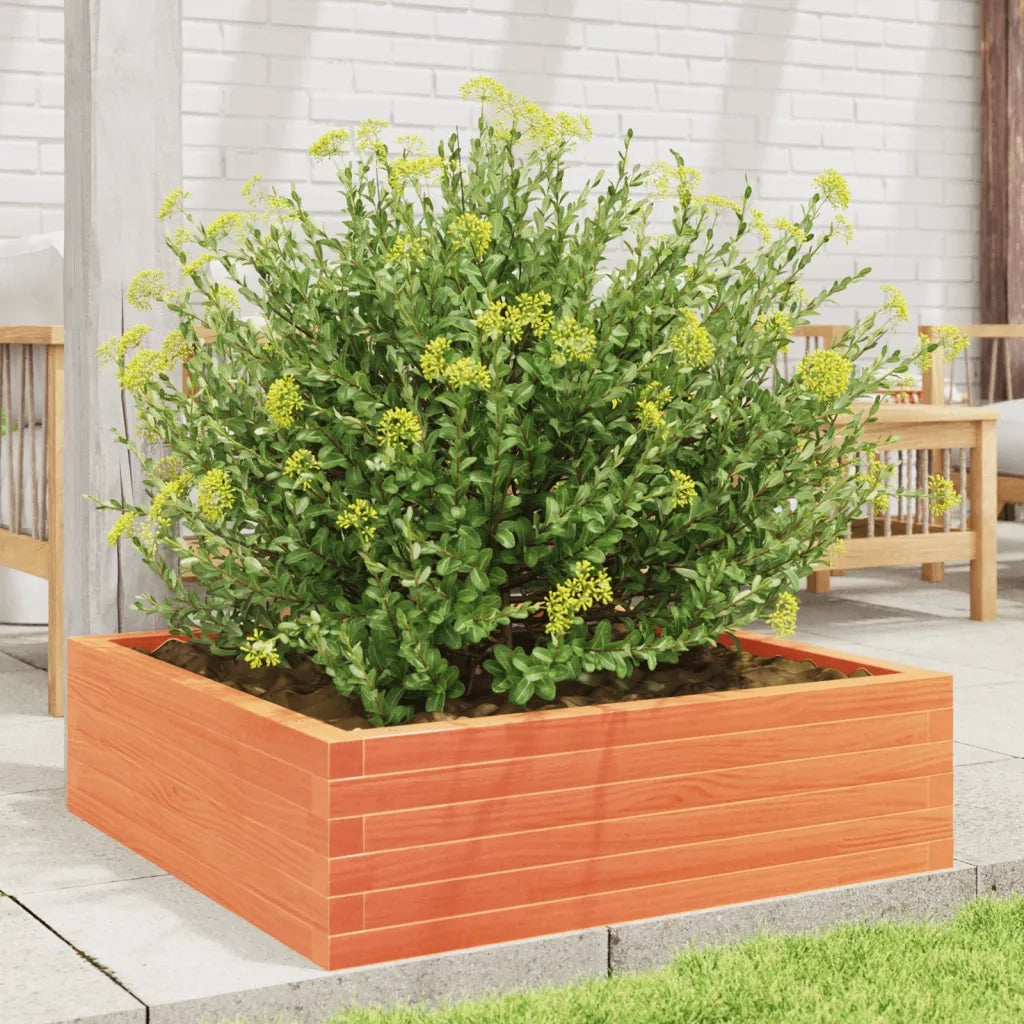 Fioriera | Cassetta per fiori | Vaso Giardino Marrone Cera 80x80x23 cm Legno Massello Pino