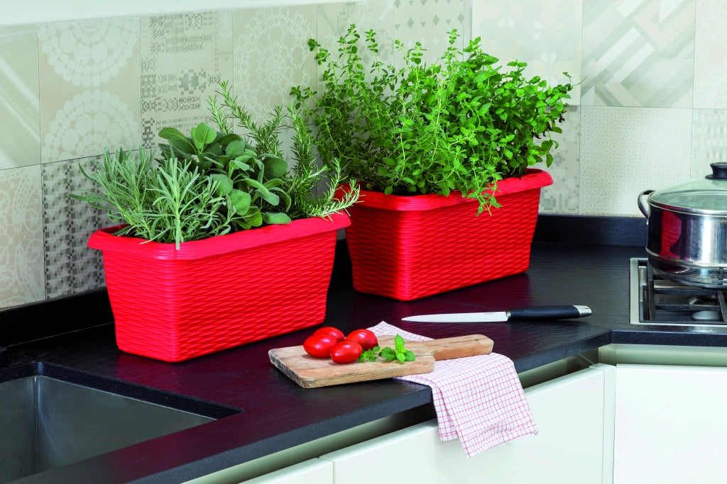 Bama FIORIERA RETTANGOLARE PAGLIA NORMAL Col. Corallo cm. 50x20x17,5 h