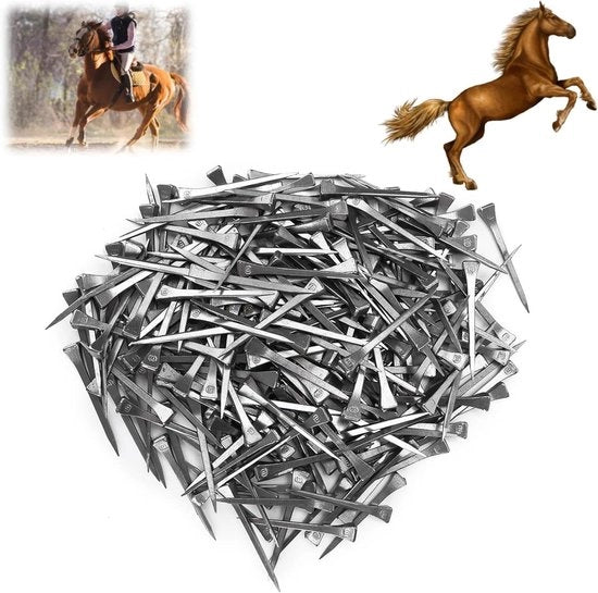 Accessori per cavalli - 250 pezzi - Nagel di fissaggio in acciaio per attrezzi da cavallo - Fissaggio sicuro