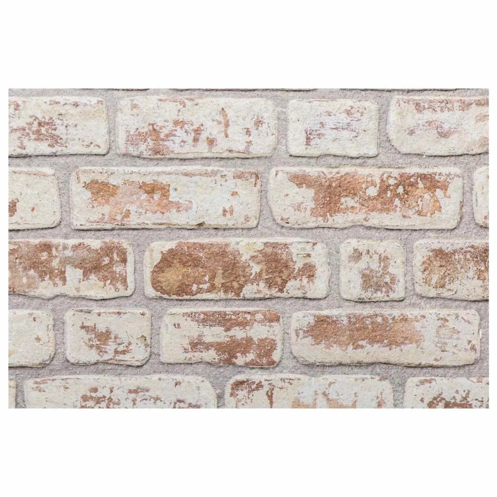 Pannelli da parete 10 pz Rosso e Bianco 100 x 50 cm CFW1380176