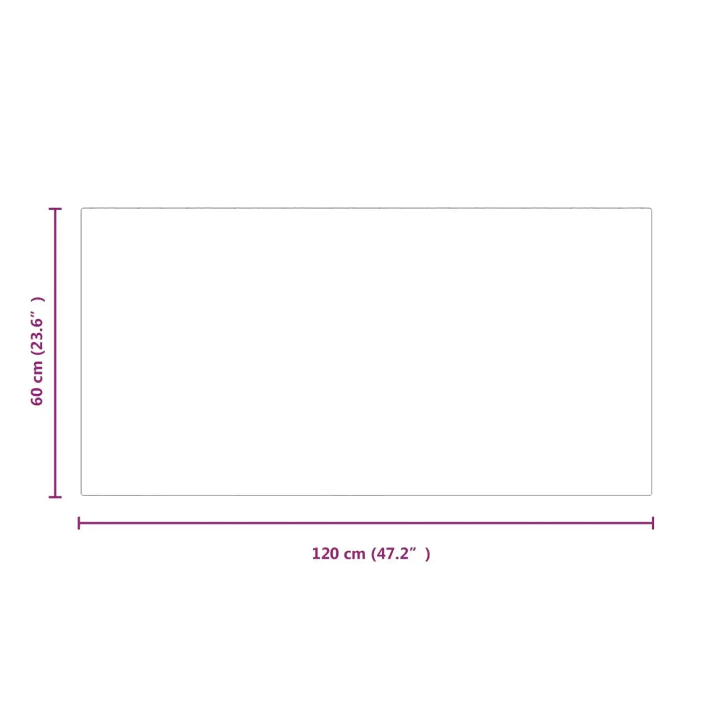 Piastra in vetro per camino Trasparente 120 x 60 cm Vetro