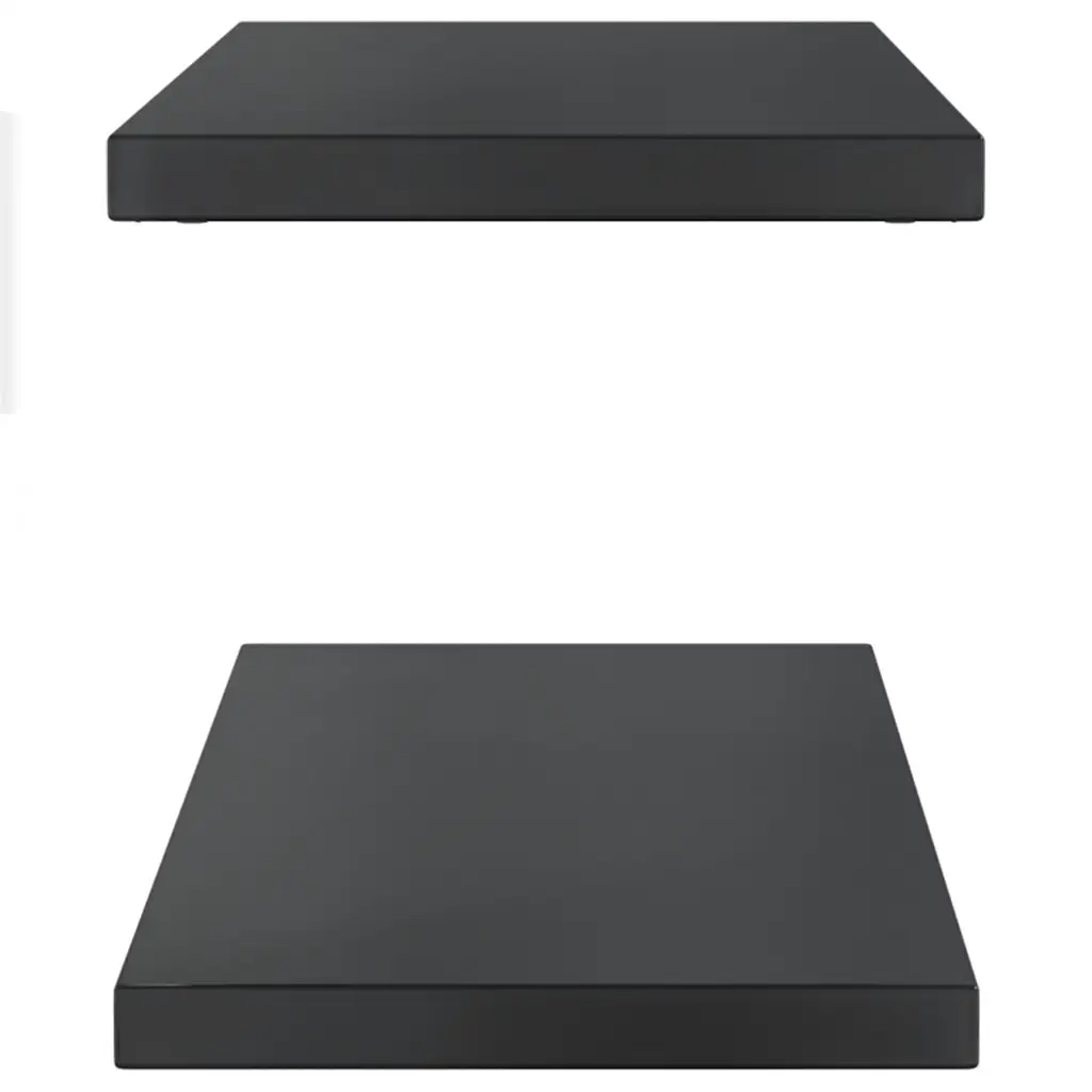 Mensole a Muro 2 pz-Set di 2 Scaffale a parete 100x30x3 cm Nero in Acciaio Inossidabile