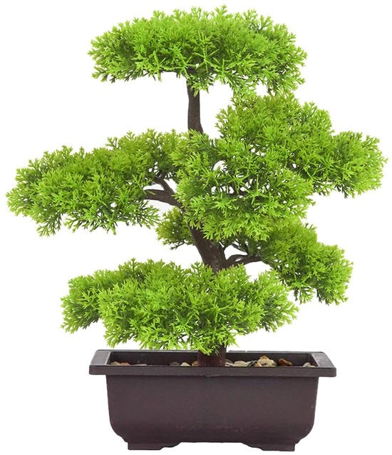 Pianta di Bonsai Realistica per Interni - 33 x 16 x 4 cm