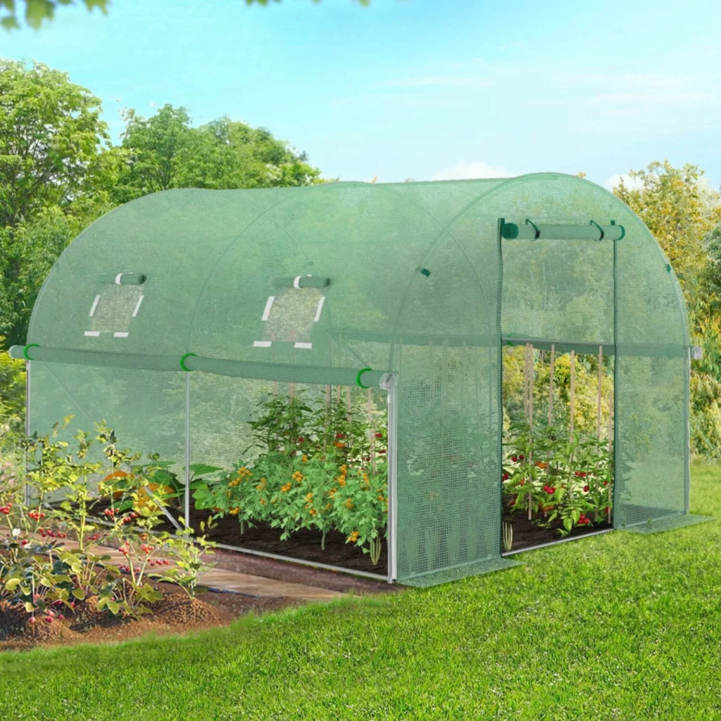 IDMarket - Serra tunnel di giardinario 6m²  verde 4 stagioni ZEBRA 2x3M